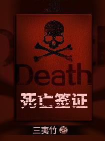 死亡签证小说