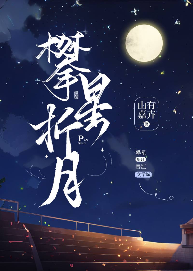 攀星折月小说