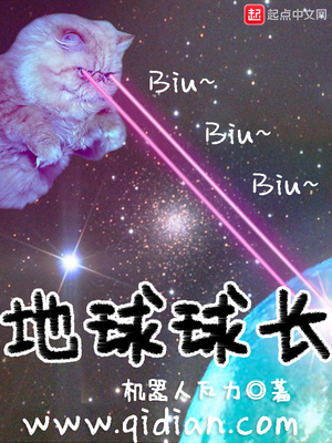 地球球长 小说