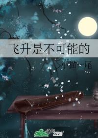 飞升是不可能的 小说