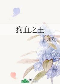 狗血剧之王小说