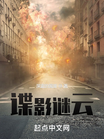 谍影谜云免费无错版阅读