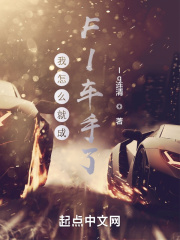 我怎么就成F1车手了小说下载