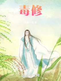毒修无防盗