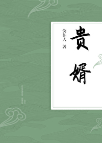 贵婿龙王殿免费观看