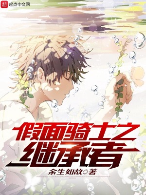 假面骑士之继承者力量
