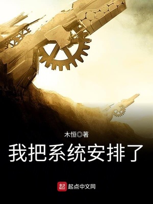 我把系统安排了 木恒