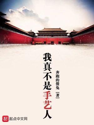 我真不是手艺人免费阅读