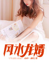 风水龙婿