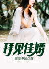 拜见岳母小品演员表