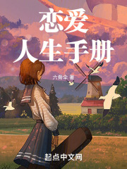 恋爱人生手册小说
