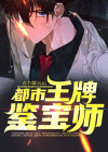 都市神级鉴宝师 小说