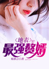 地表最强赘婿 何辞言 著