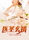 医圣玄婿 小说
