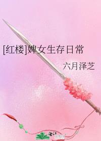 红楼之婢女的生存日常 小说