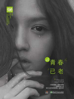 青春已老去是什么歌