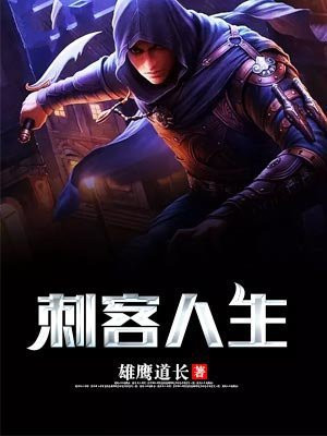 刺客人生价值