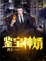 鉴宝神婿电视剧免费观看