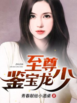 至尊鉴宝龙少TXT