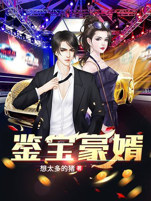 鉴宝女婿