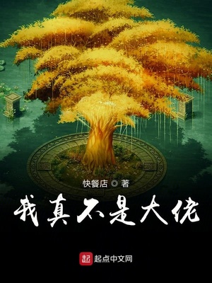 我真不是大佬 小说