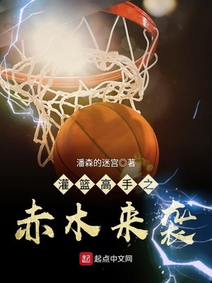 灌篮高手赤木脚扭伤
