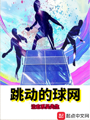 跳动的球网小说