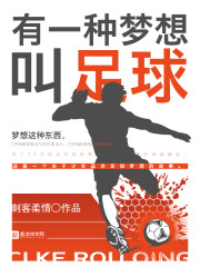 有一种梦想叫足球txt