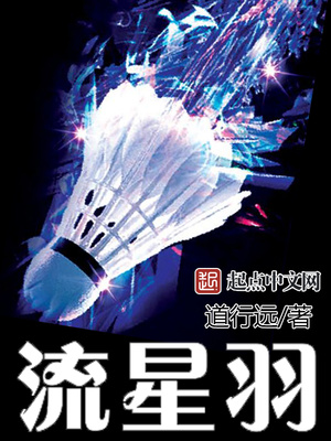流星羽毛球队图标