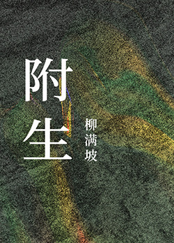 附生 作者:檀月