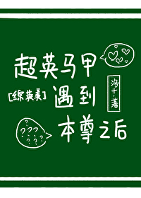 [综英美]超英马甲遇到本尊之后下载