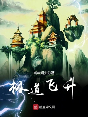 极道飞升等级划分