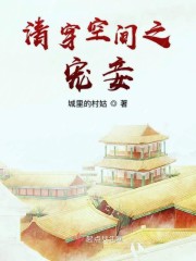 清穿空间之宠妾 城里的村姑