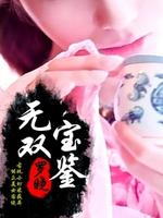 无双宝鉴小说