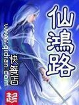 仙鸿路境界划分