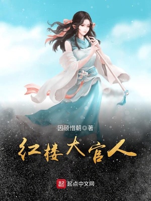 红楼大官人百度百科小说