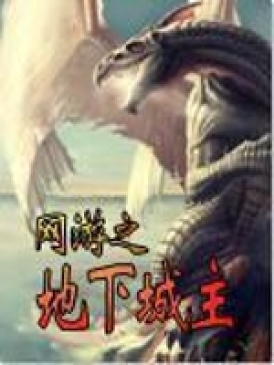 网游之地下城主小说