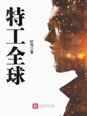 特工全球txt