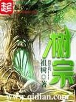 树宗风是什么意思