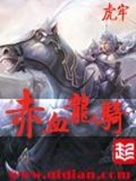 赤血龙骑TXT