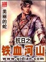 抗日之铁血河山小说
