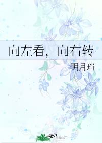 向左看,向右转百度网盘 明月