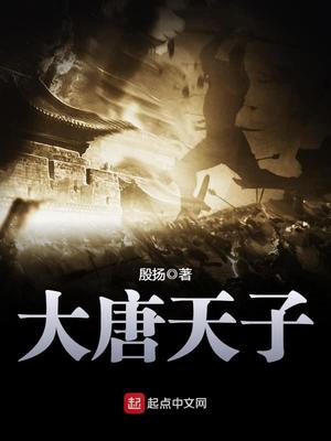 大唐天子开元53度酱香价格