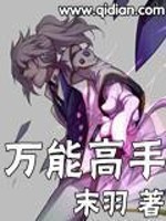 万能高手 小说