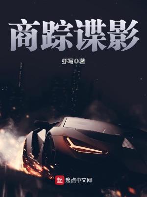 商踪谍影小说免费阅读