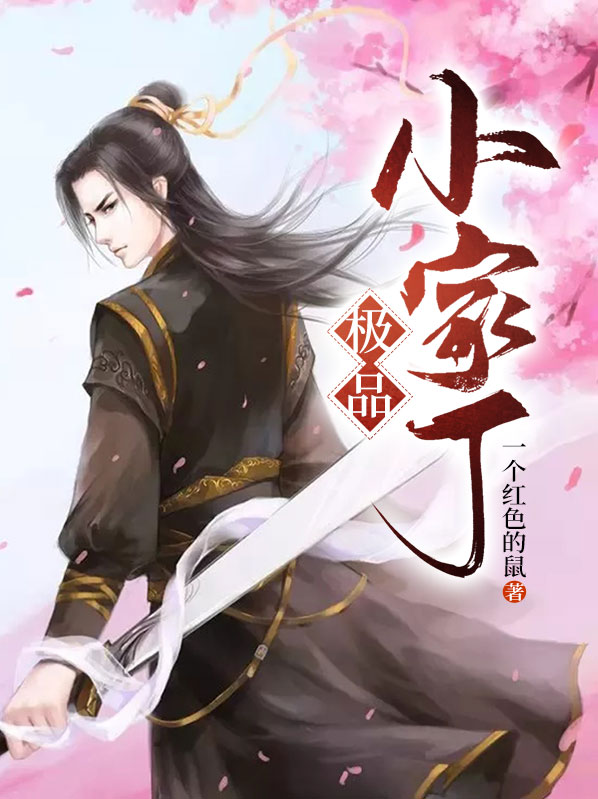 极品家丁11
