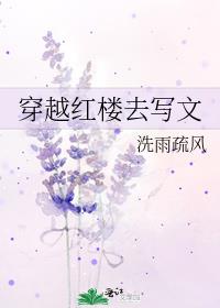穿越红楼去写文130