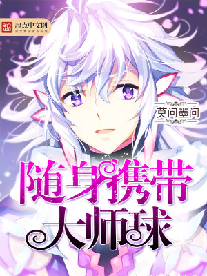 随身携带大师球小说封面