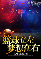篮球在左梦想在右小说下载