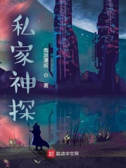 私家神探一般价格